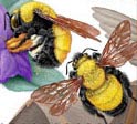 2  bees on stamp