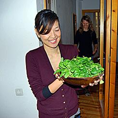 freshly picked salad