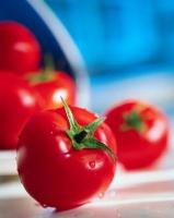 growing vegetables in the front yard