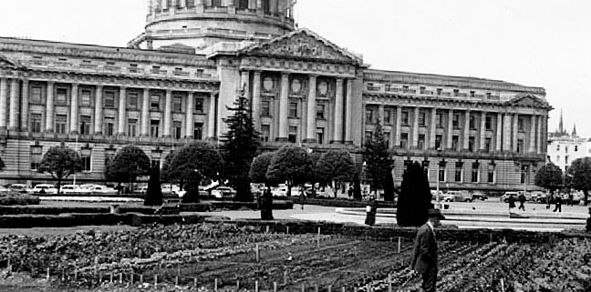 San Francisco City Hall Victory Garden 1943